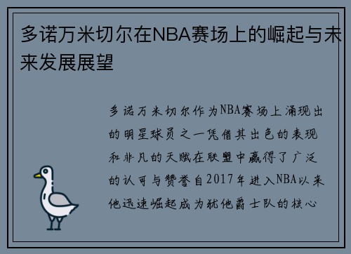 多诺万米切尔在NBA赛场上的崛起与未来发展展望